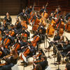 Orchestra members in performance