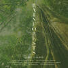 Album cover art featuring upward shot of tall deciduous forest with title "Rainforests